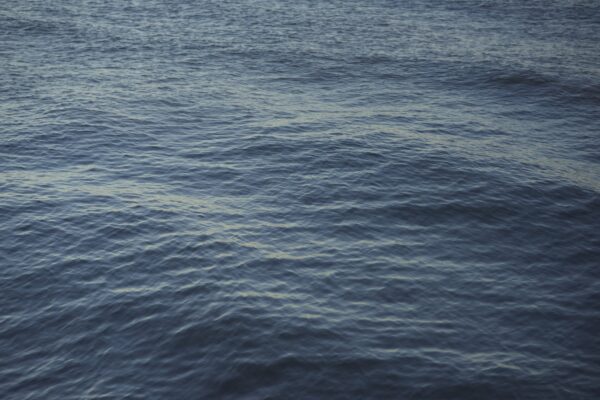up close image of the waters of Long Island Sound