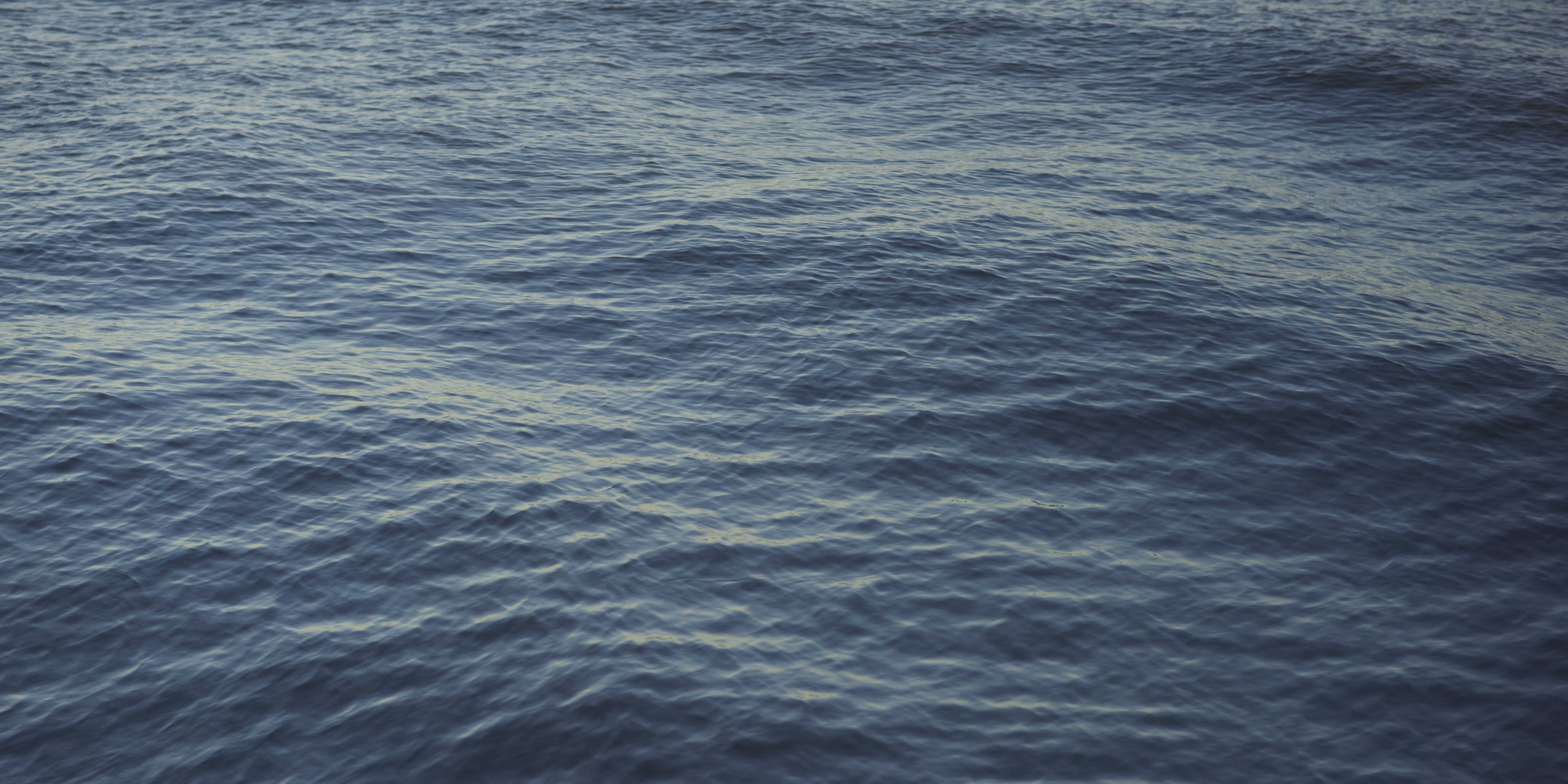 up close image of the waters of Long Island Sound