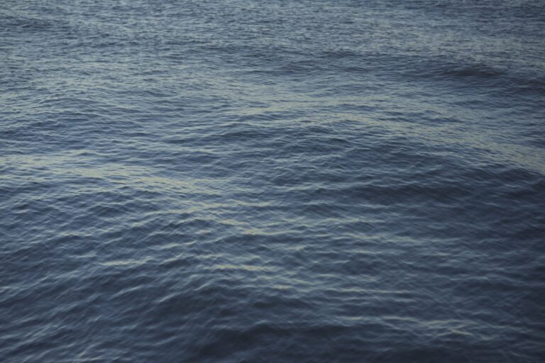 up close image of the waters of Long Island Sound